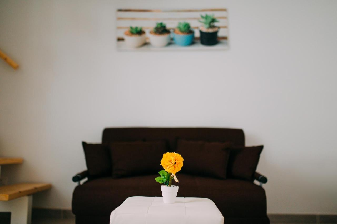 Bed Casa Vacanza Via Gallipoli - Corte Bari 布林迪西 外观 照片